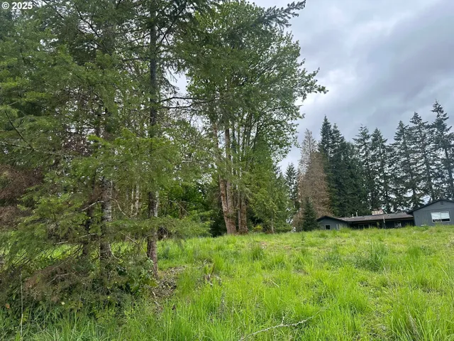 a view of yard with green space