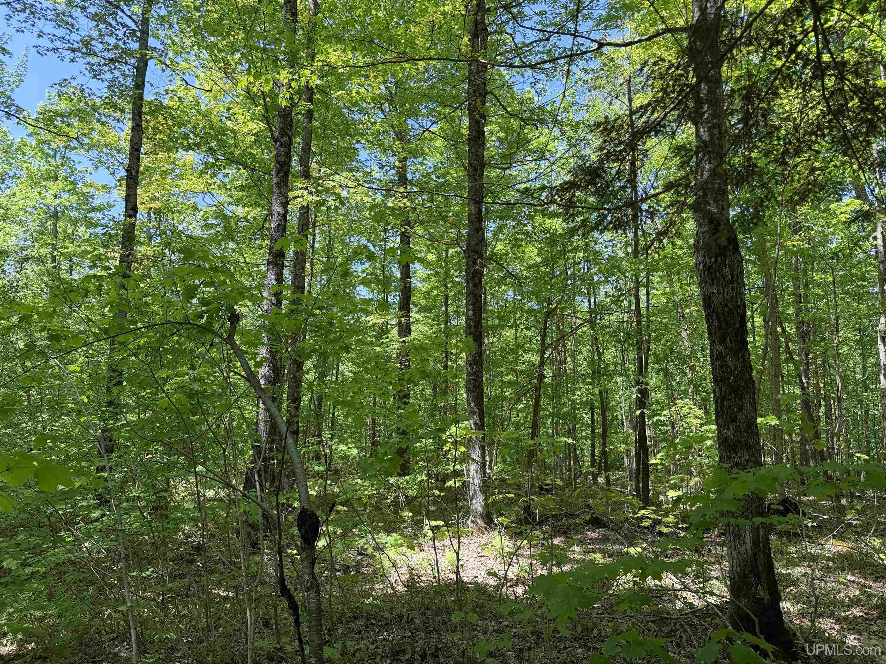 Off East Lake Road Ironwood, MI 49938 - Photo 13 of 30