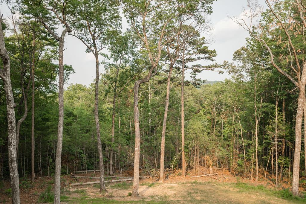 80 Harrison And Ada Road Blue Ridge, GA 30513 - Photo 58 of 97