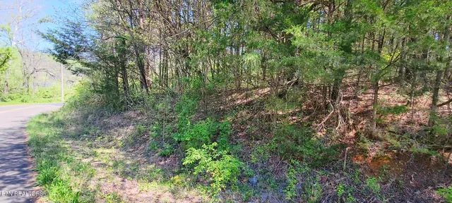 $18,000 | 110 West Drive, Parrottsville, TN 37843