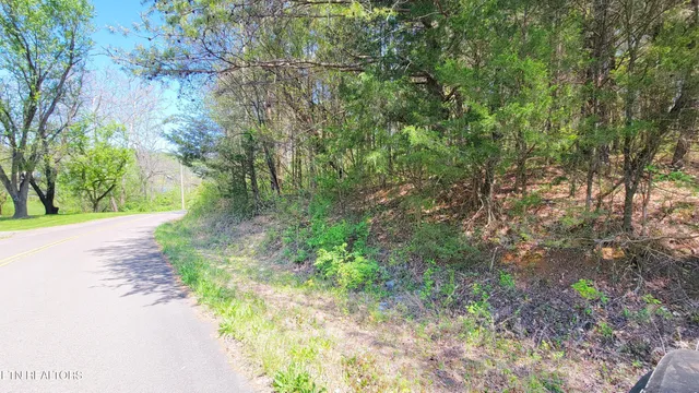 $18,000 | 110 West Drive, Parrottsville, TN 37843