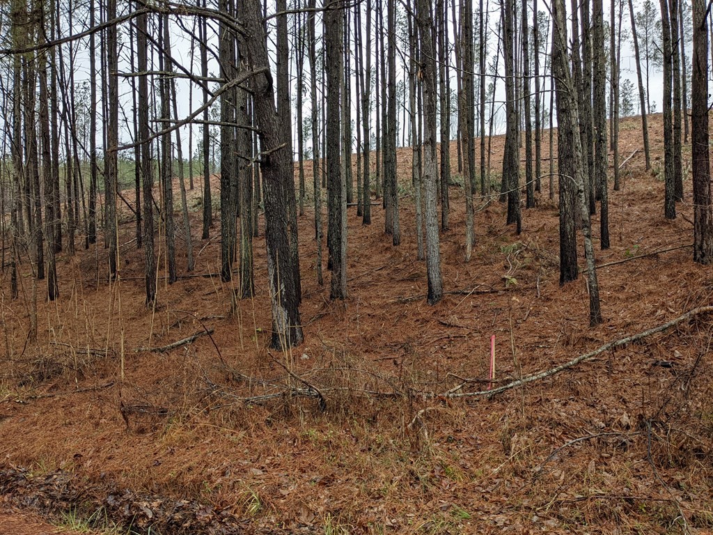 696 Dake Road Decatur, TN 37322 - Photo 12 of 14