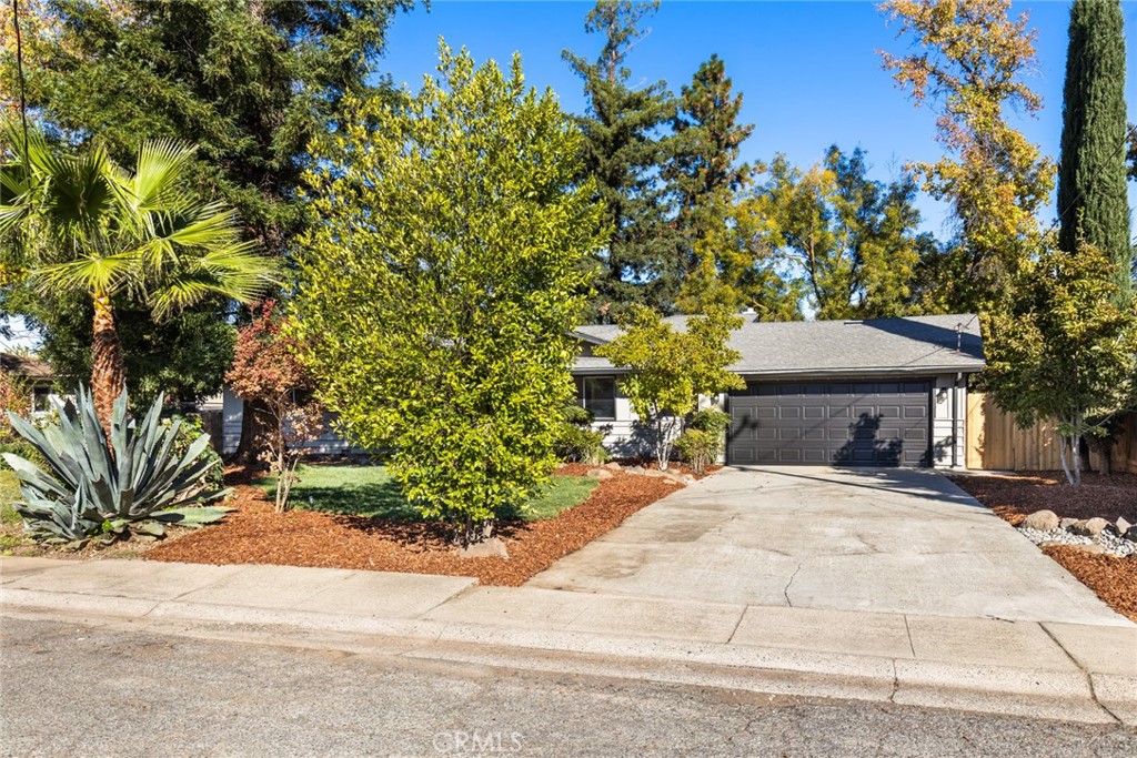 8 Cottage Circle Chico, CA 95926 - Photo 28 of 46 a tall yellow house with a tree in front of it