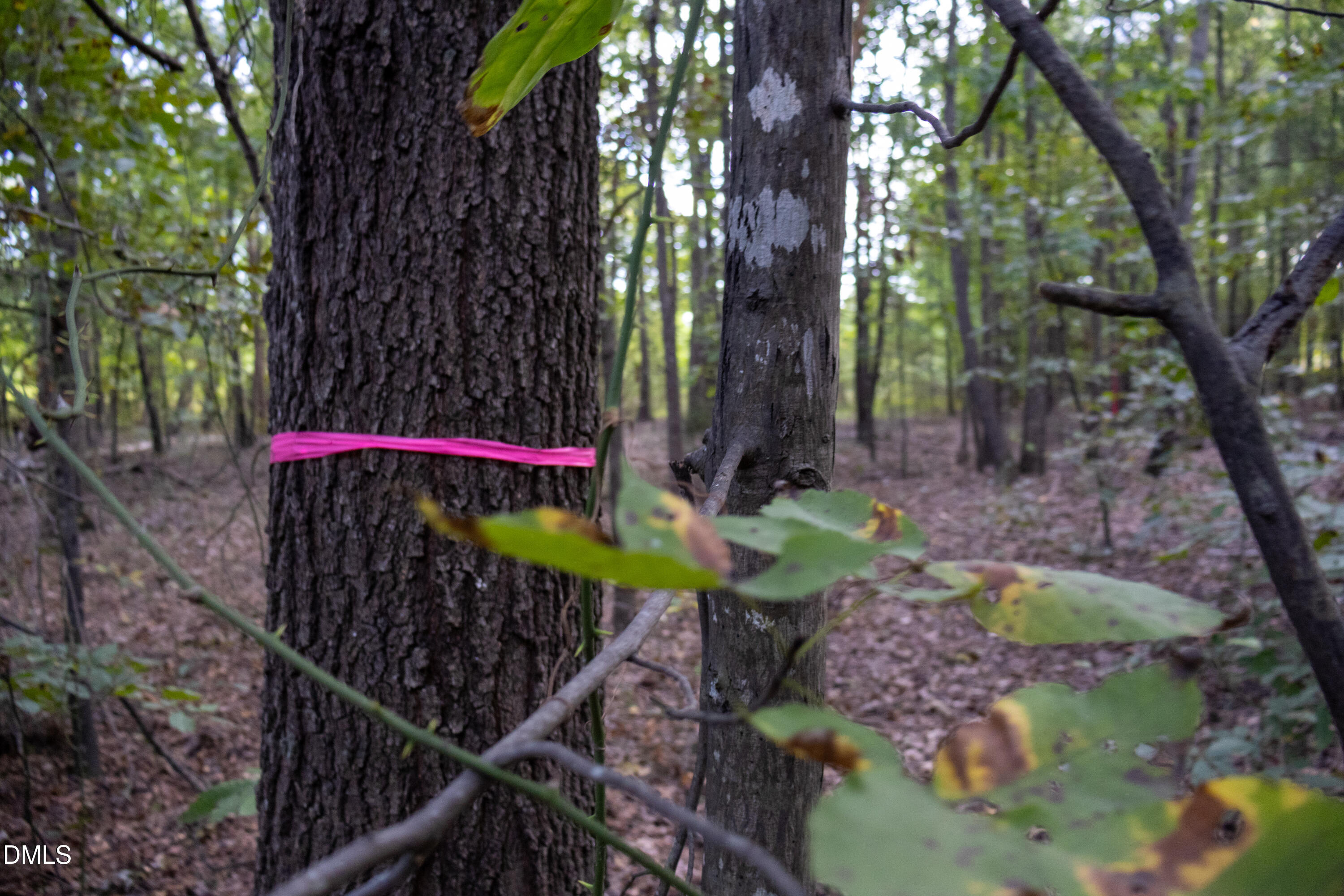 Tbd Winchester Road Monroe, NC 28110 - Photo 6 of 9 a view of a backyard with sitting area