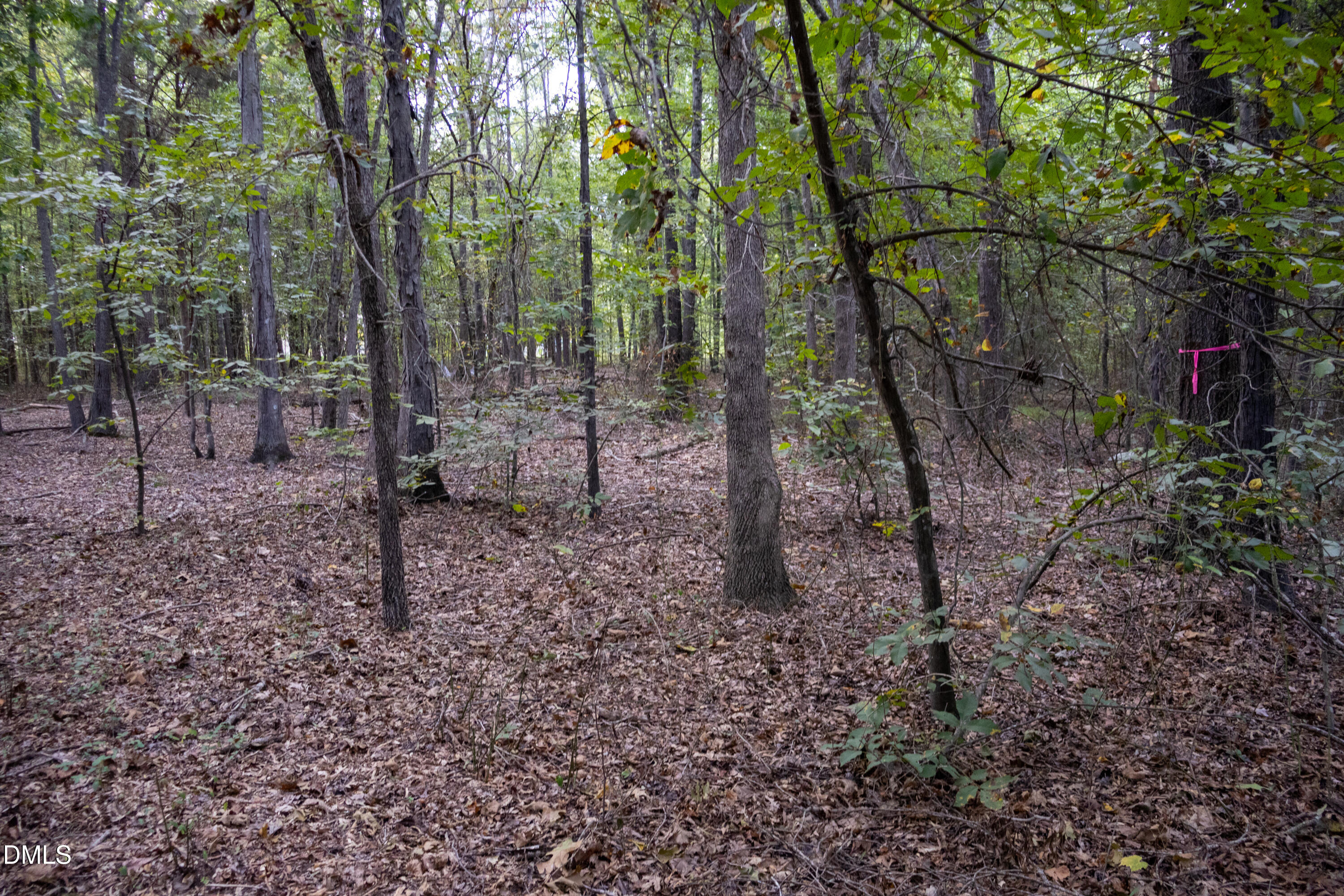 Tbd Winchester Road Monroe, NC 28110 - Photo 7 of 9 a backyard of a house with lots of green space