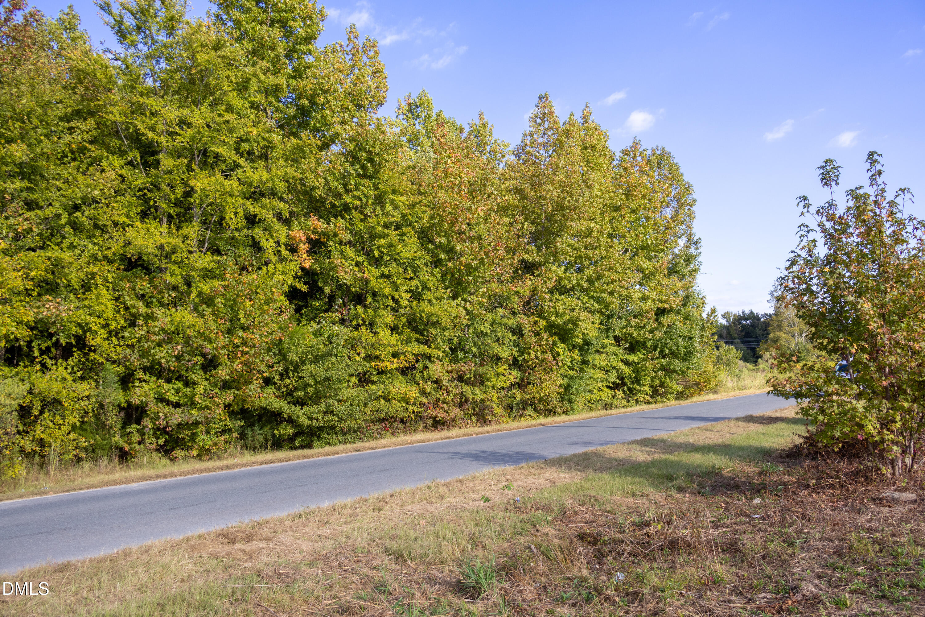 Tbd Winchester Road Monroe, NC 28110 - Photo 9 of 9 a view of a yard with plants and a trees