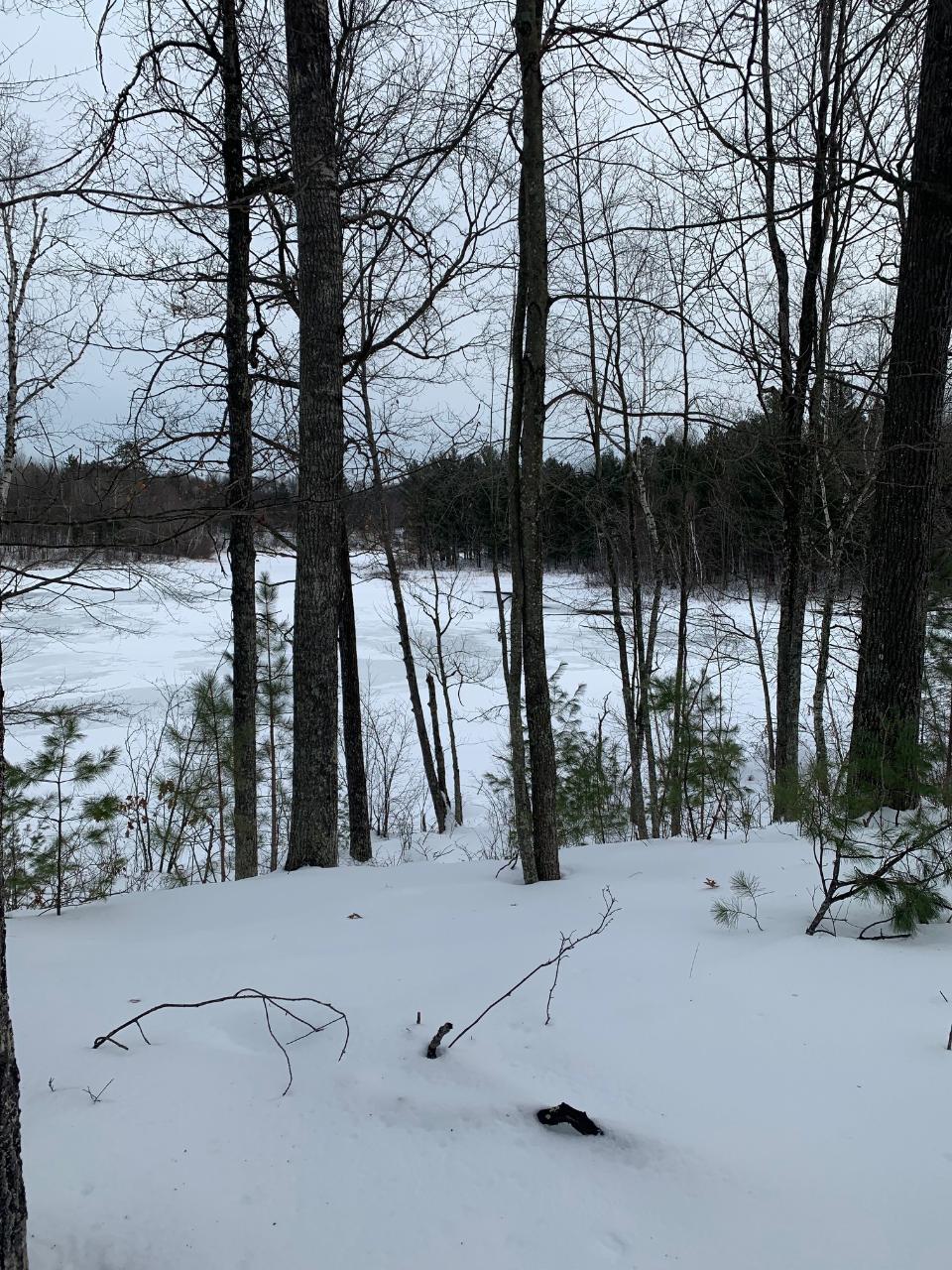 Lot 2 Bennet Road Amberg, WI 54102 - Photo 10 of 10 Gallery Image 10