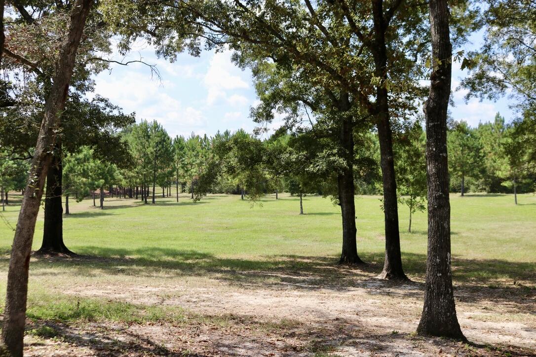 261 Wilkerson Road DeFuniak Springs, FL 32433 - Photo 12 of 15 a view of a yard with tree s