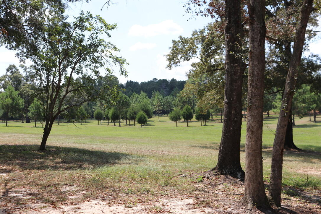 261 Wilkerson Road DeFuniak Springs, FL 32433 - Photo 2 of 15 a view of a yard with a tree