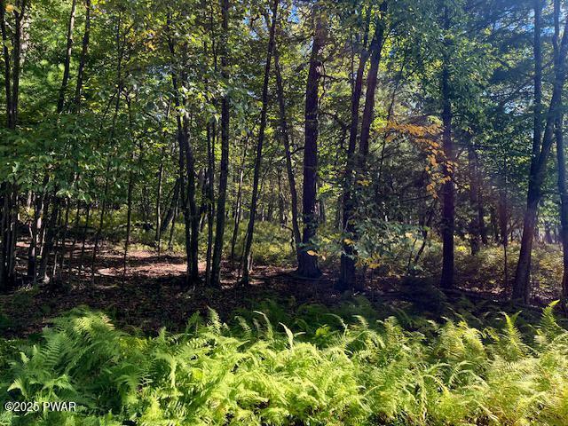 Lot 427 Squirrel Road Dingmans Ferry, PA 18328 - Photo 3 of 8