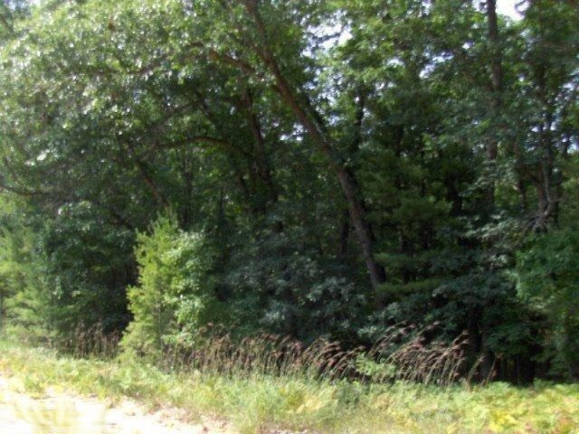 1 South State Road Chase, MI 49623 - Photo 1 of 3 Primary Photo