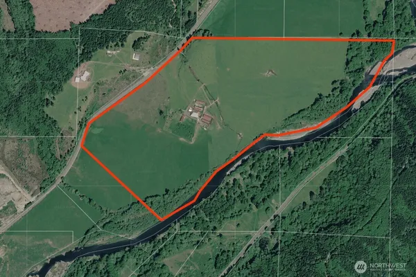 a green field with lots of plants in the background