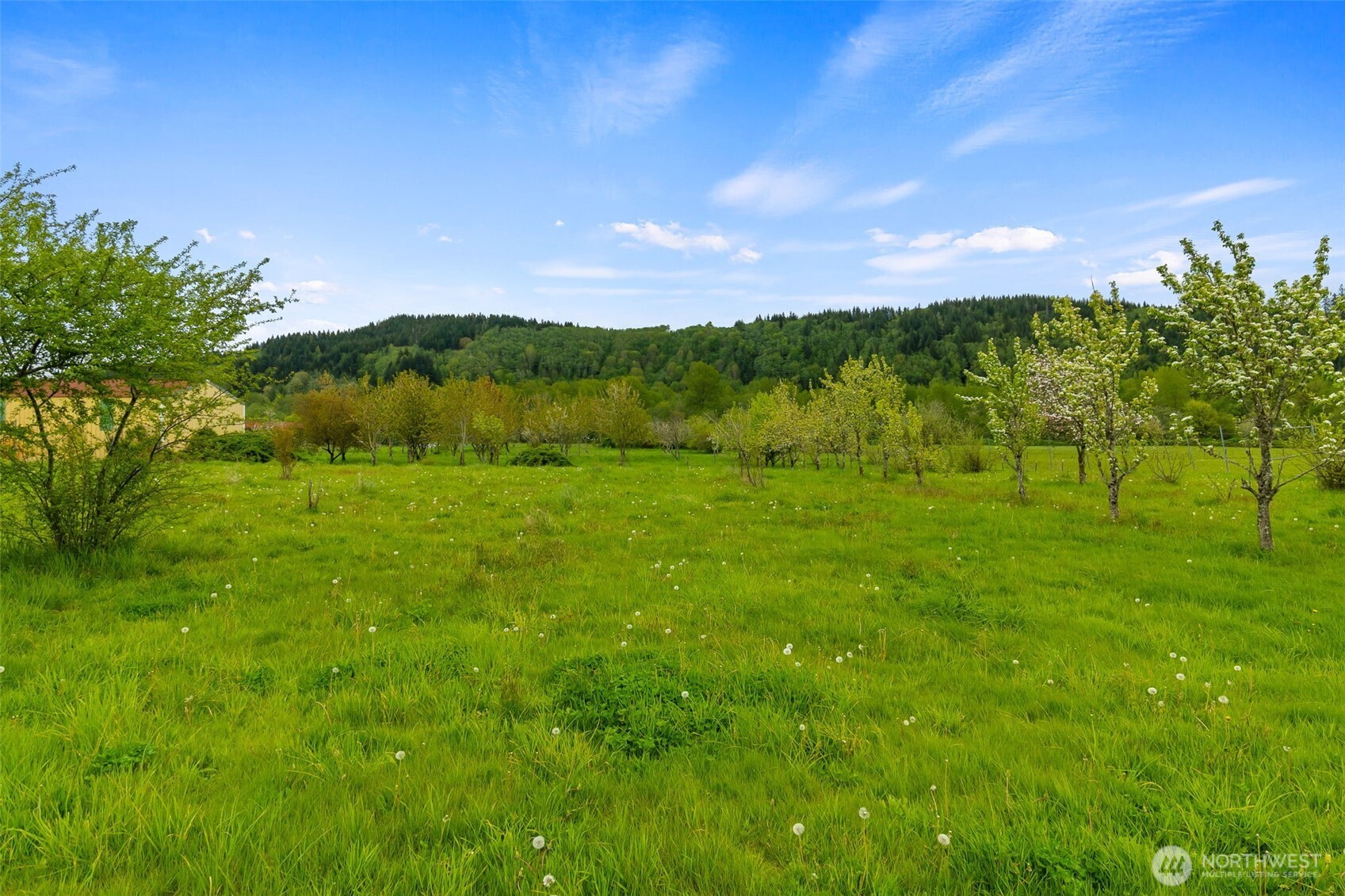 912 Middle Satsop Road Montesano, WA 98563 - Photo 32 of 37 a view of an outdoor space and a yard