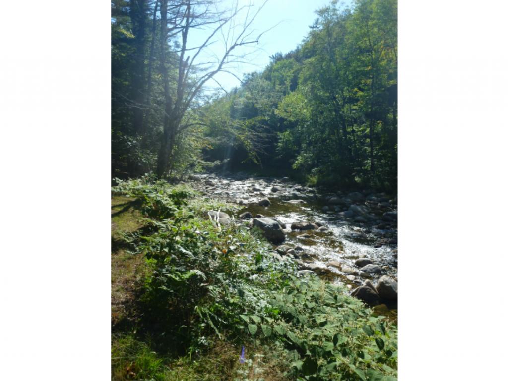 16 Waterfront Road Intervale, NH 03845 - Photo 22 of 24