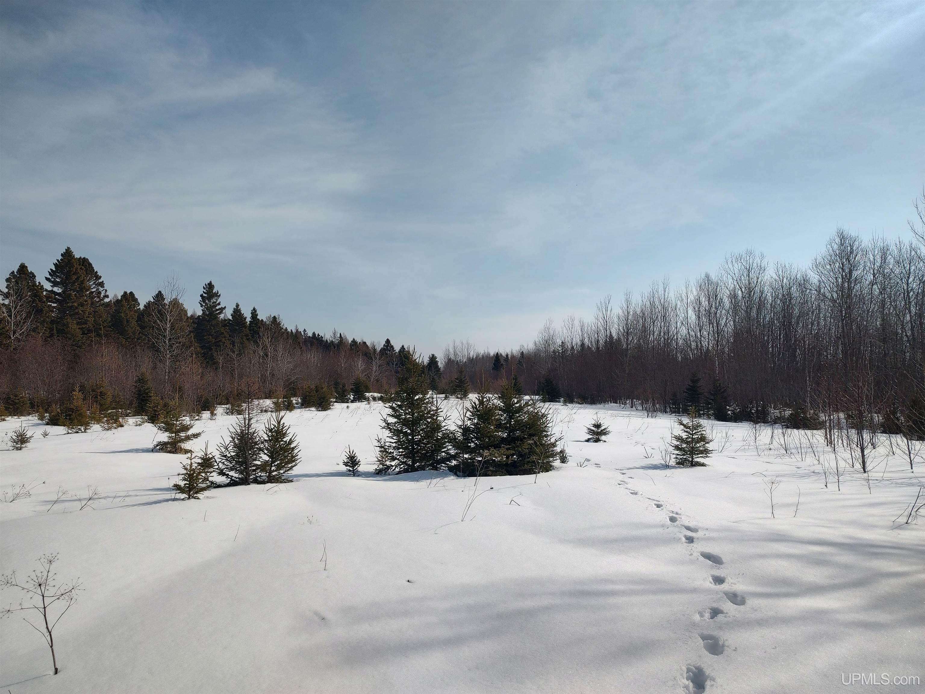 30-acres Parkington Road Gulliver, MI 49840 - Photo 26 of 31