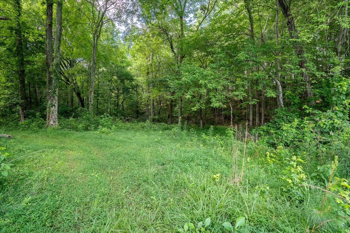 1630 Johnson Branch Road Pulaski, TN 38478 - Photo 6 of 43