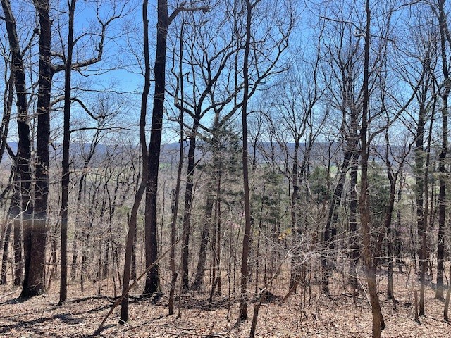 150 Turkey Scratch Road Rock Island, TN 38581 - Photo 11 of 21 Gallery Image 11