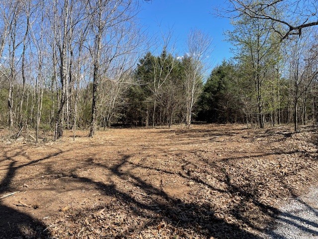 150 Turkey Scratch Road Rock Island, TN 38581 - Photo 13 of 21 Gallery Image 13