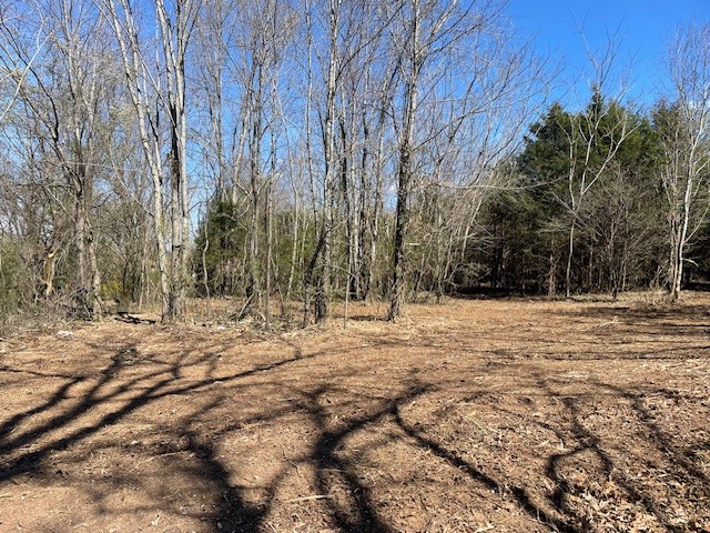 150 Turkey Scratch Road Rock Island, TN 38581 - Photo 14 of 21 Gallery Image 14