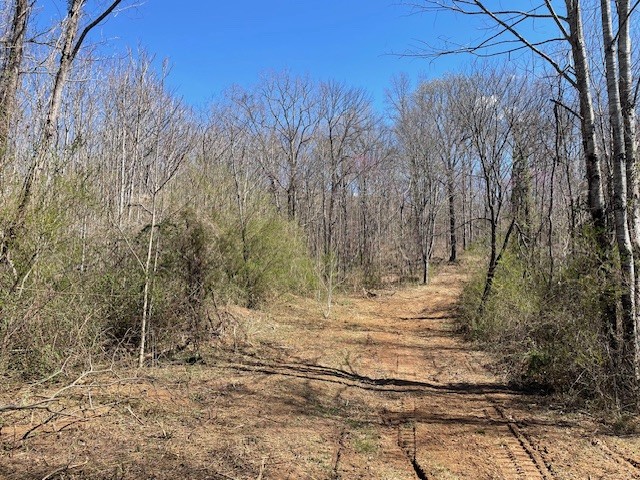 150 Turkey Scratch Road Rock Island, TN 38581 - Photo 16 of 21 Gallery Image 16