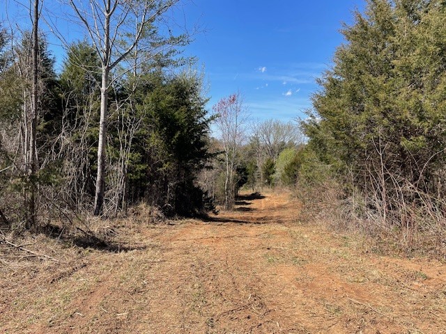 150 Turkey Scratch Road Rock Island, TN 38581 - Photo 17 of 21 Gallery Image 17