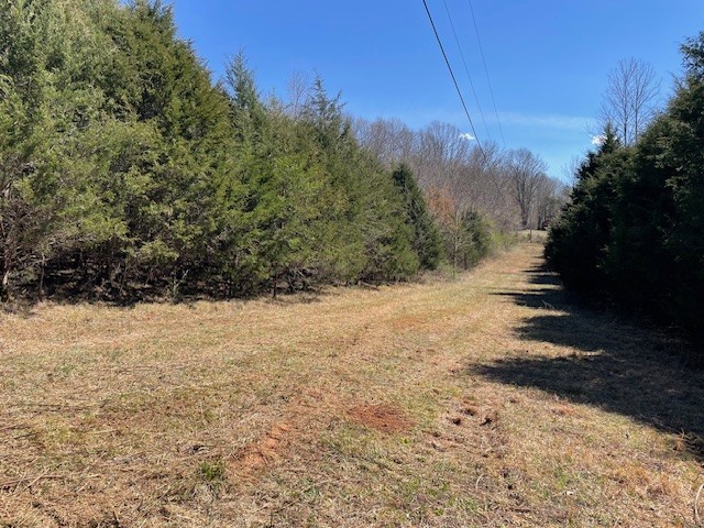 150 Turkey Scratch Road Rock Island, TN 38581 - Photo 20 of 21 Gallery Image 20
