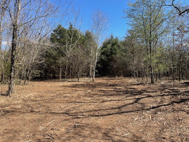 150 Turkey Scratch Road Rock Island, TN 38581 - Photo 3 of 21 Gallery Image 3
