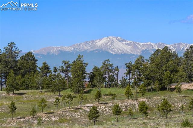 Tbd Holmes Road Colorado Springs, CO 80908 - Photo 3 of 15 Pikes Peak Views!!