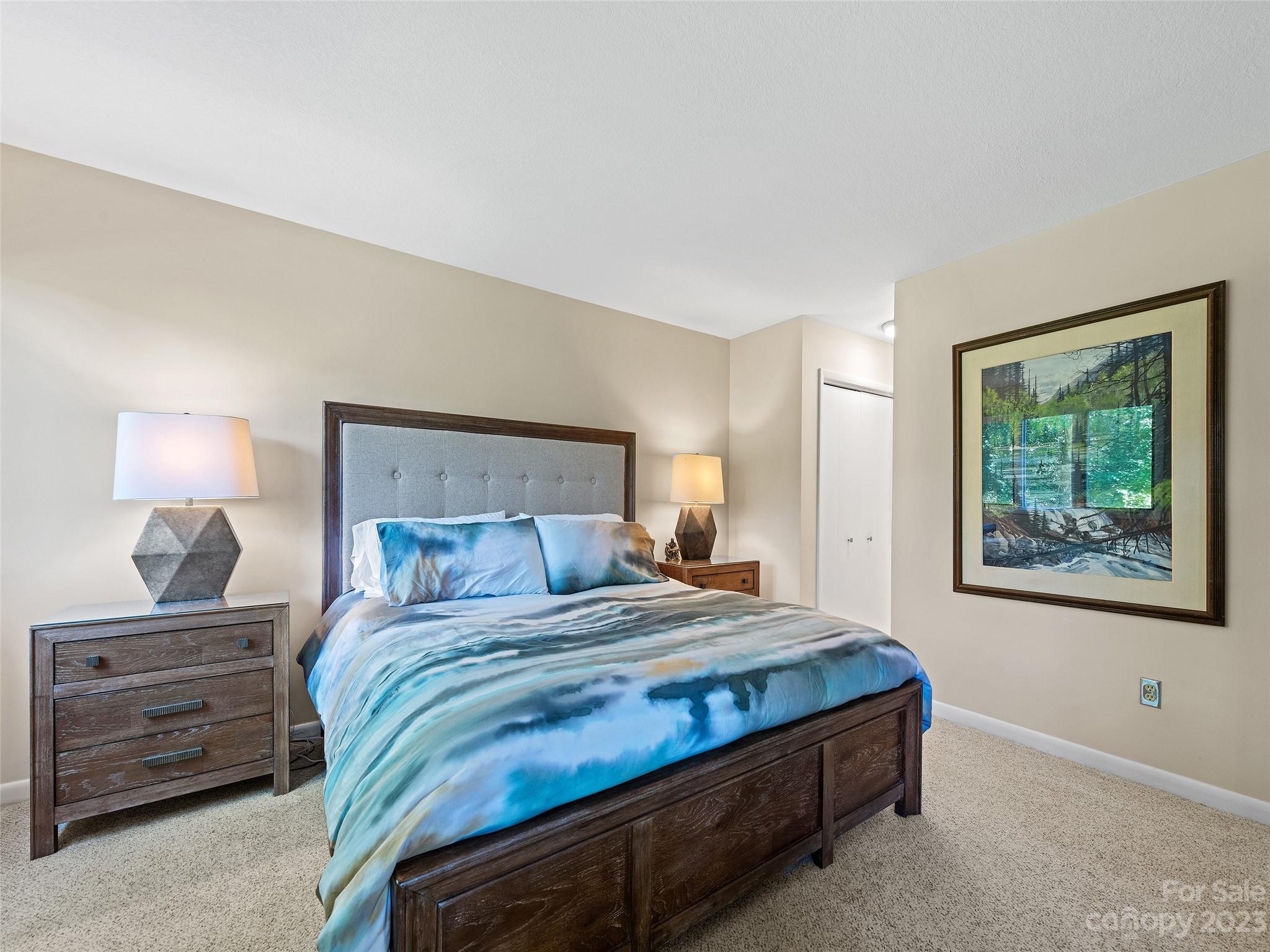 87 Willow Road, Unit C1 Waynesville, NC 28786 - Photo 29 of 48 a bedroom with a bed and a lamp on dresser