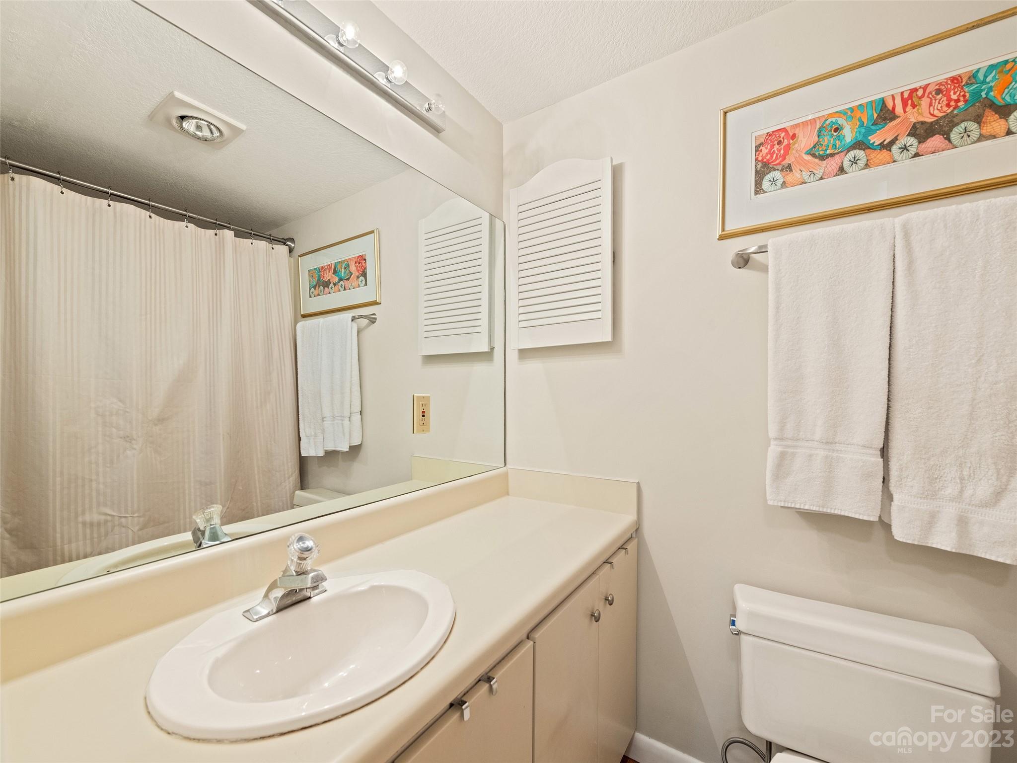 87 Willow Road, Unit C1 Waynesville, NC 28786 - Photo 31 of 48 a bathroom with a sink a toilet and a mirror