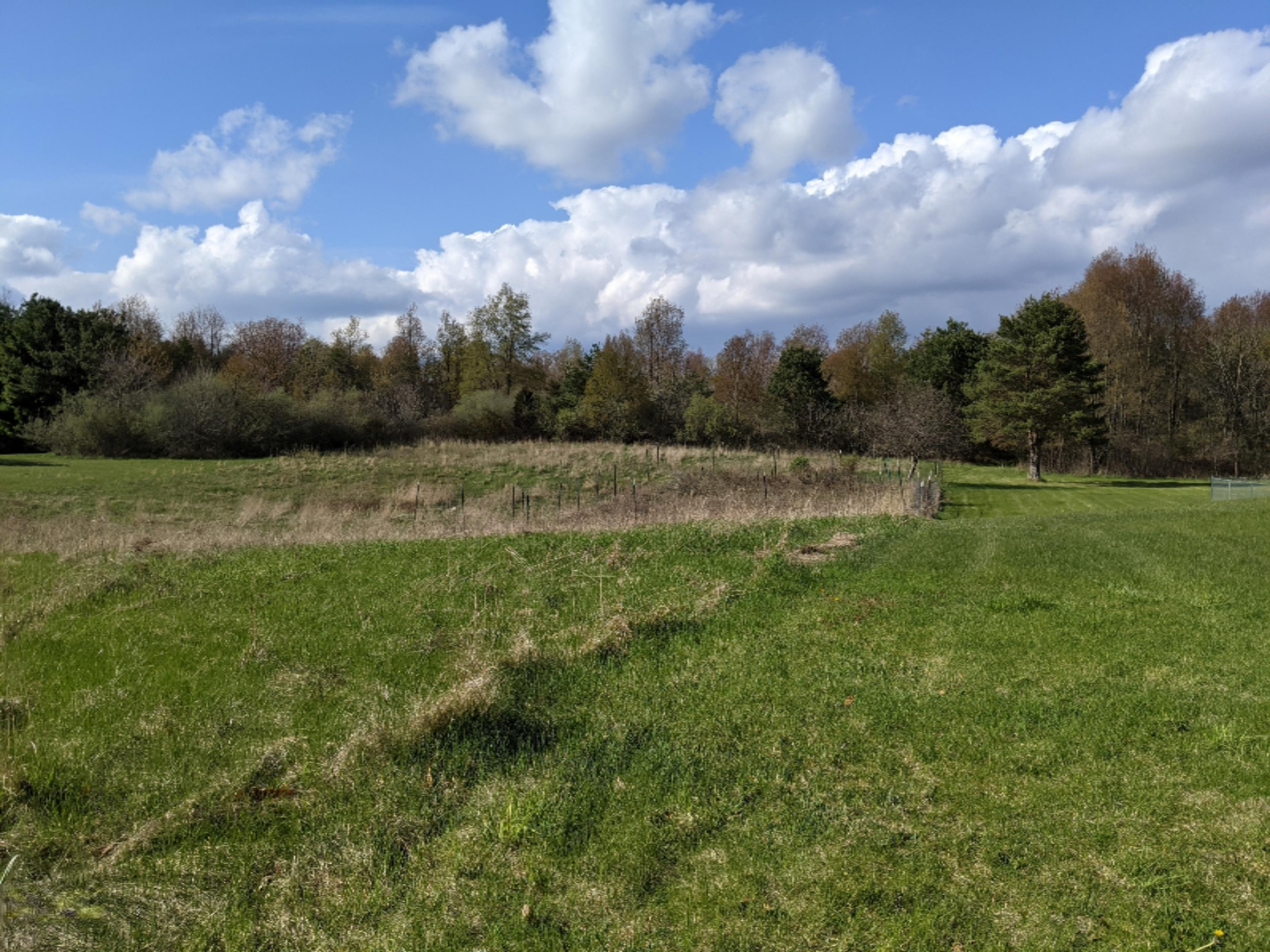 2018 Baseline Road Hickory Corners, MI 49060 - Photo 33 of 40 PXL_20210421_211901162.MP