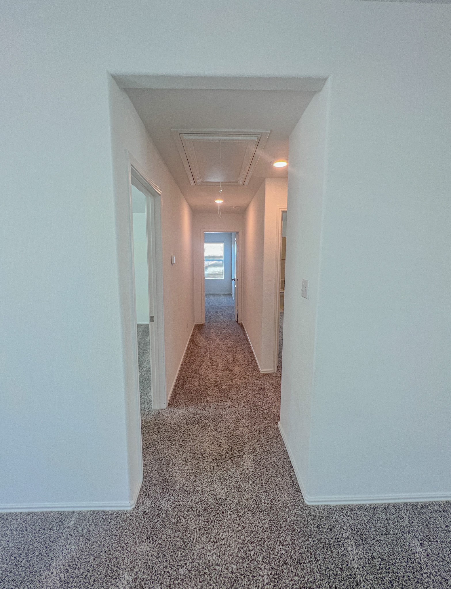 438 Perfect World Loop Jarrell, TX 76537 - Photo 26 of 35