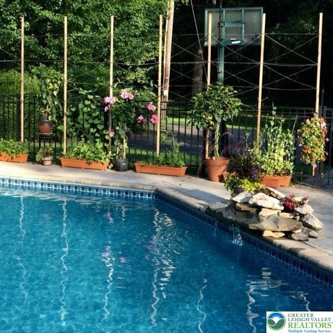 33 Ward Road Blairstown, NJ 07825 - Photo 50 of 70 Pool in summer