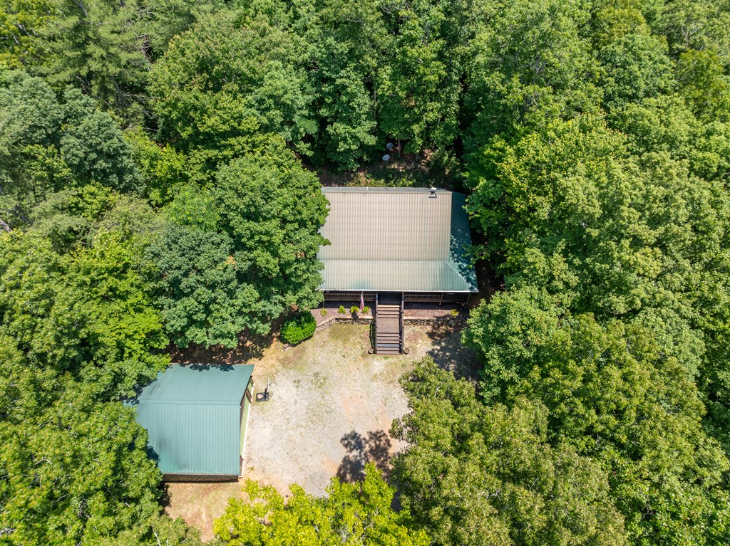 213 Valley Branch Road Blue Ridge, GA 30513 - Photo 11 of 56