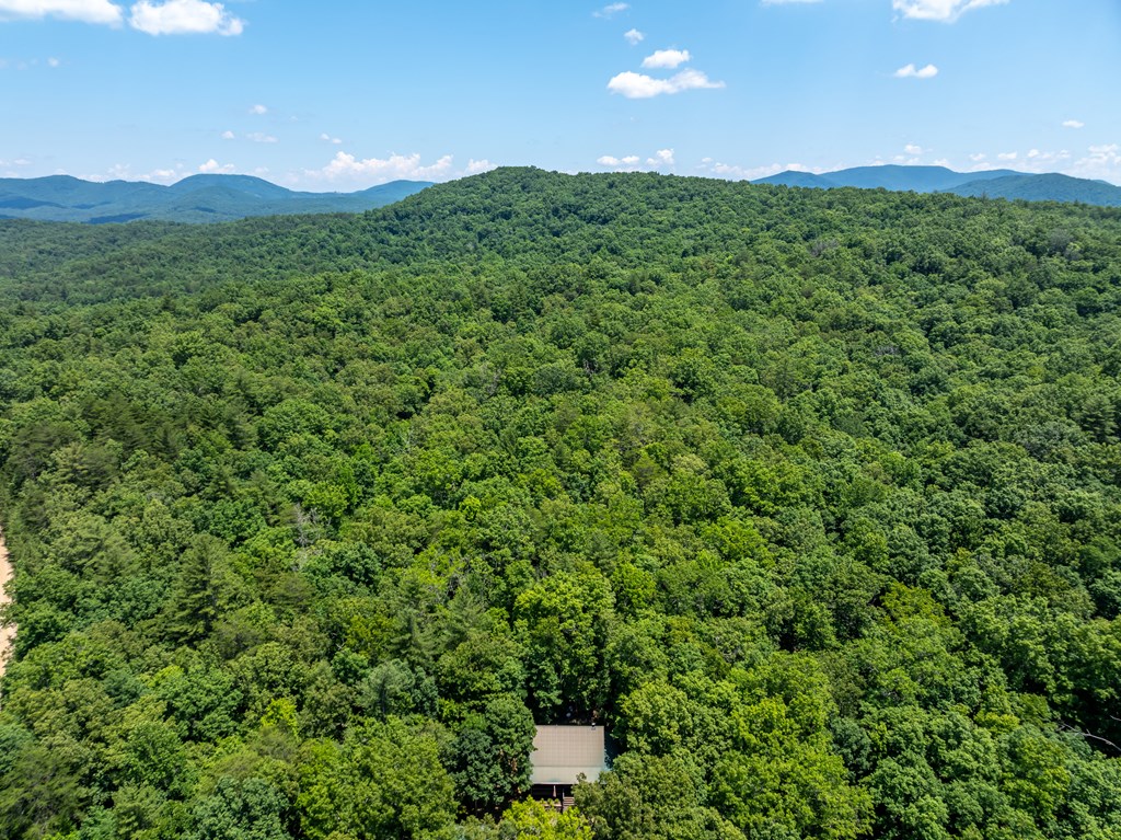 213 Valley Branch Road Blue Ridge, GA 30513 - Photo 12 of 56