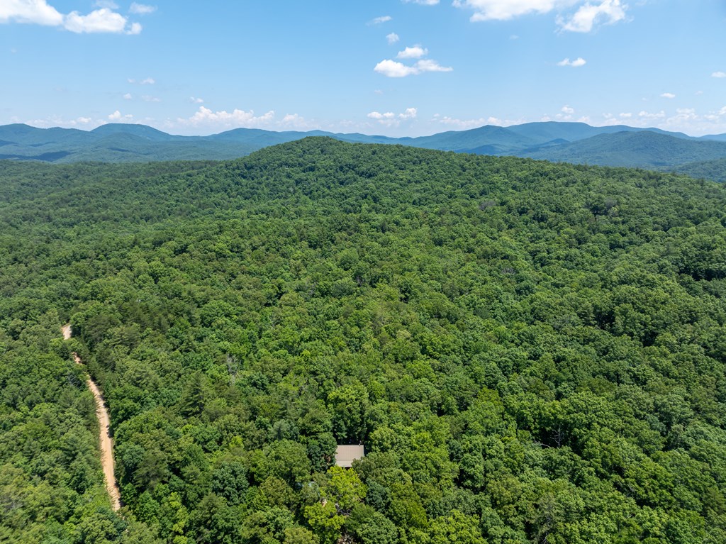 213 Valley Branch Road Blue Ridge, GA 30513 - Photo 13 of 56