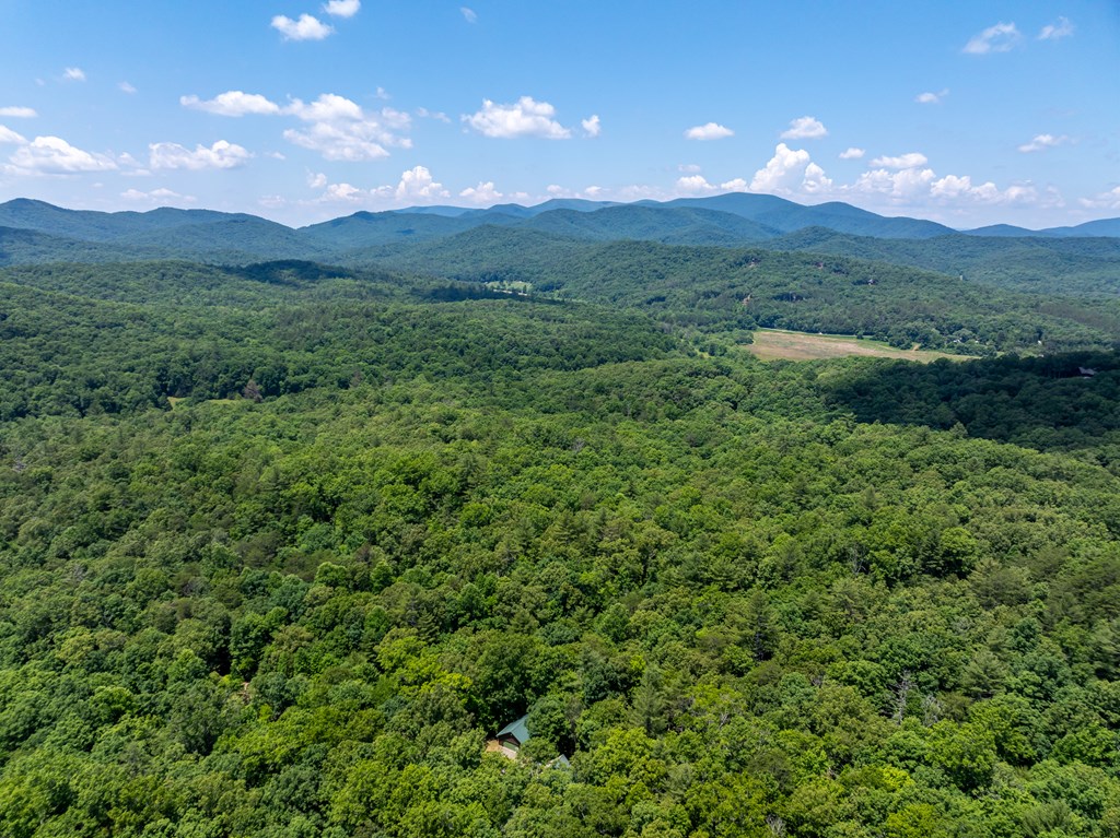 213 Valley Branch Road Blue Ridge, GA 30513 - Photo 15 of 56