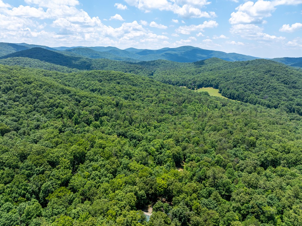 213 Valley Branch Road Blue Ridge, GA 30513 - Photo 16 of 56