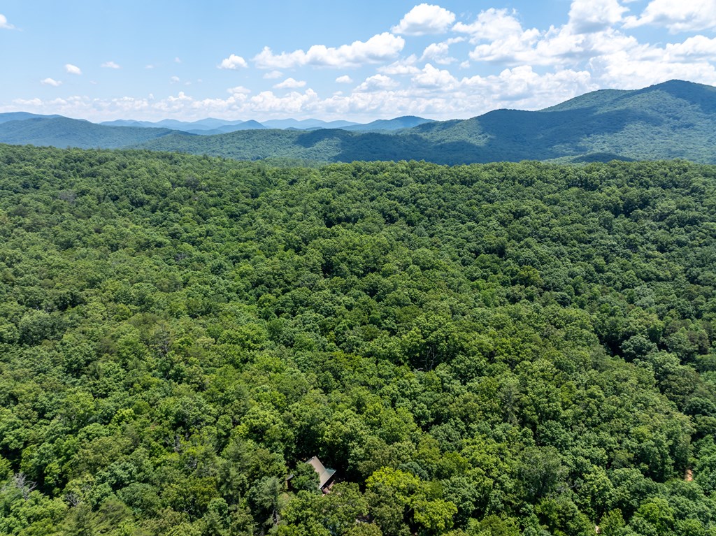 213 Valley Branch Road Blue Ridge, GA 30513 - Photo 17 of 56