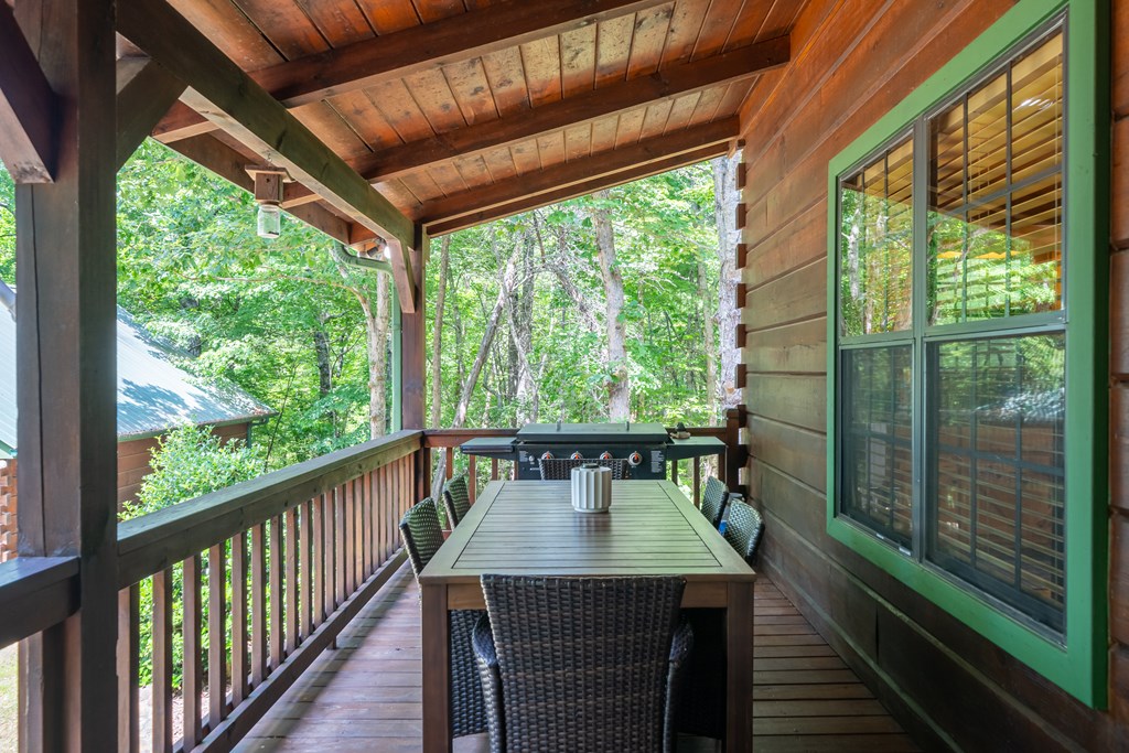 213 Valley Branch Road Blue Ridge, GA 30513 - Photo 47 of 56