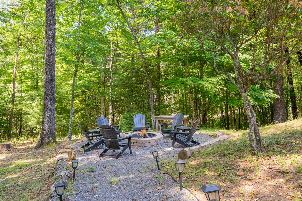 213 Valley Branch Road Blue Ridge, GA 30513 - Photo 56 of 56