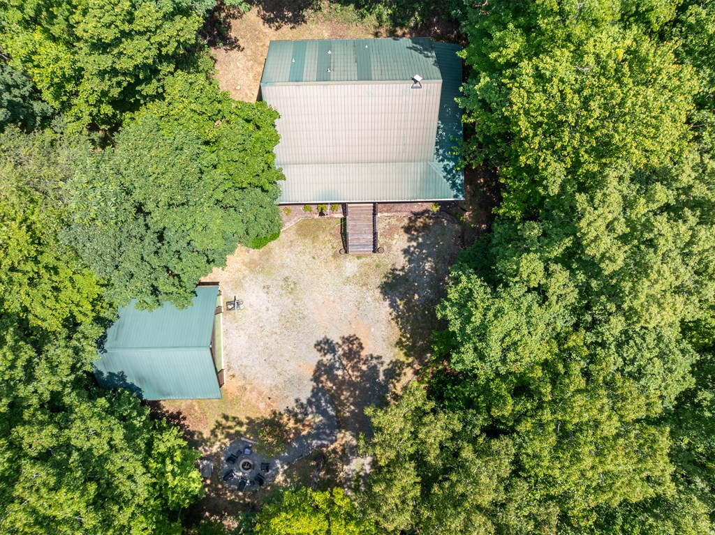 213 Valley Branch Road Blue Ridge, GA 30513 - Photo 10 of 56