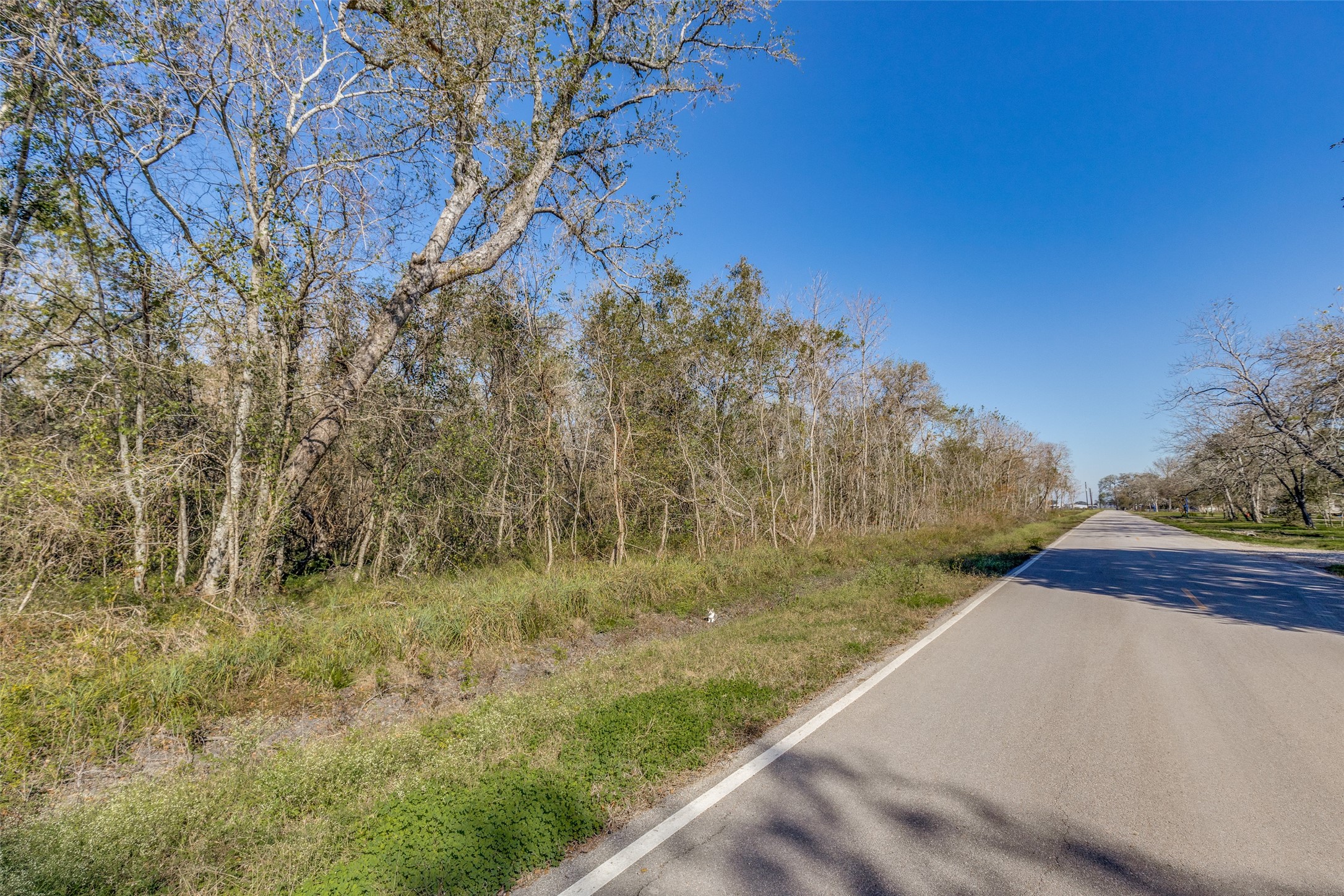 Tdb Tdb Cr-647 Guy, TX 77444 - Photo 4 of 9 a view of a yard