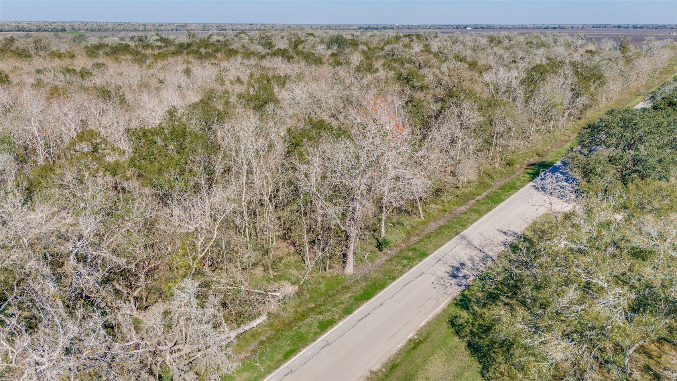 Tdb Tdb Cr-647 Guy, TX 77444 - Photo 6 of 9 a view of a yard with wooden floor
