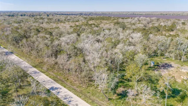 a close up of a plant