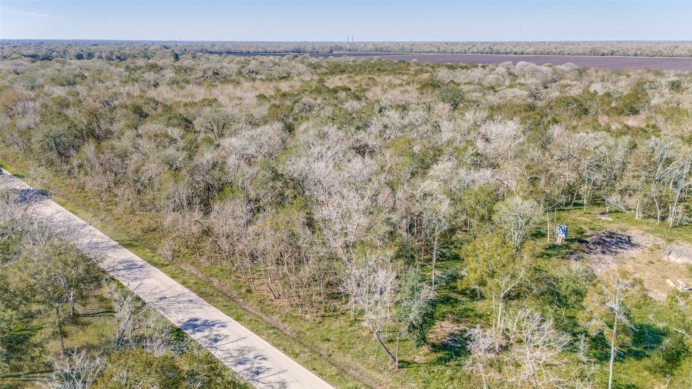 Tdb Tdb Cr-647 Guy, TX 77444 - Photo 7 of 9 a view of a dry yard with wooden floor and fence