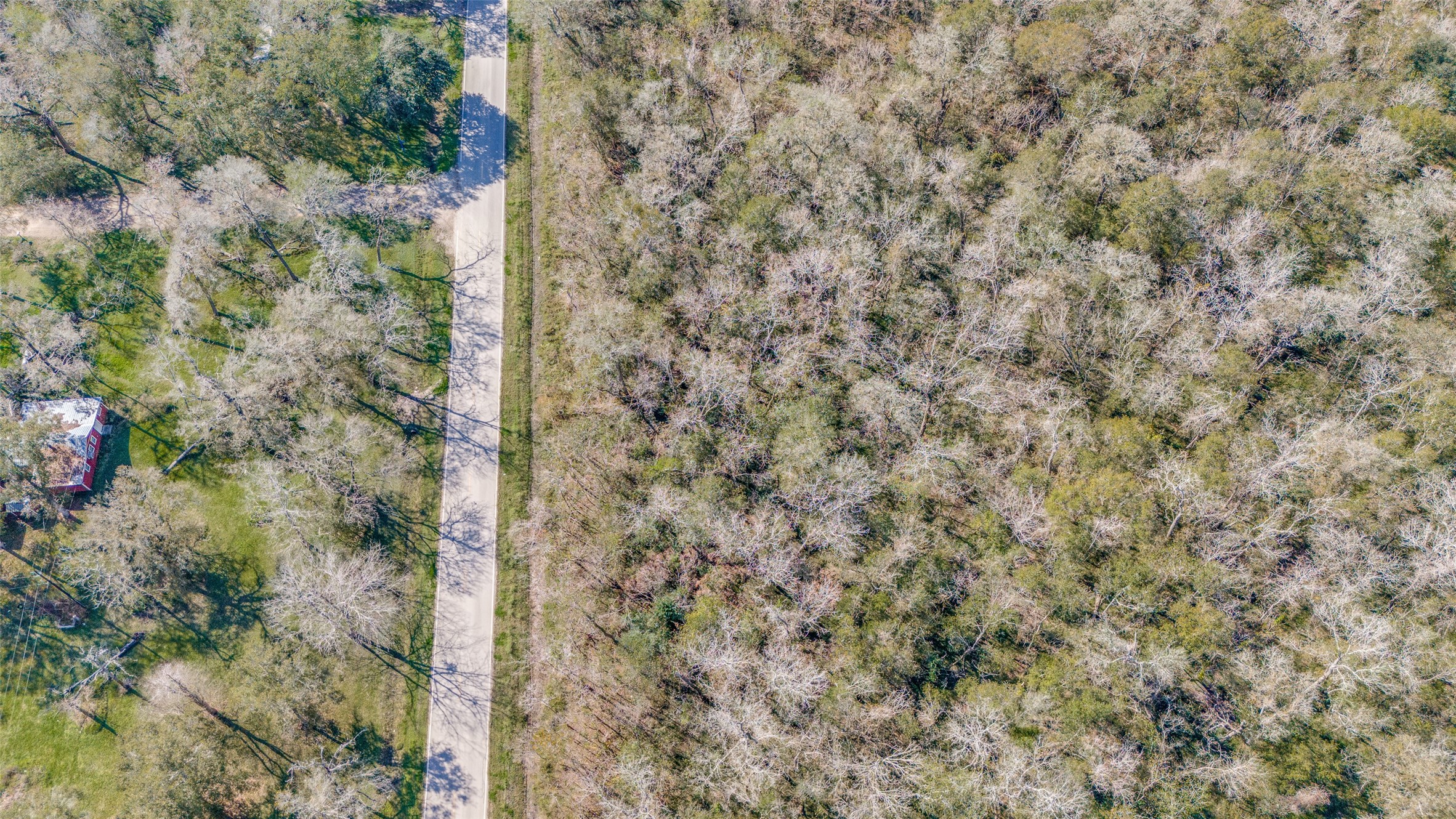 Tdb Tdb Cr-647 Guy, TX 77444 - Photo 8 of 9 a close up of a plant