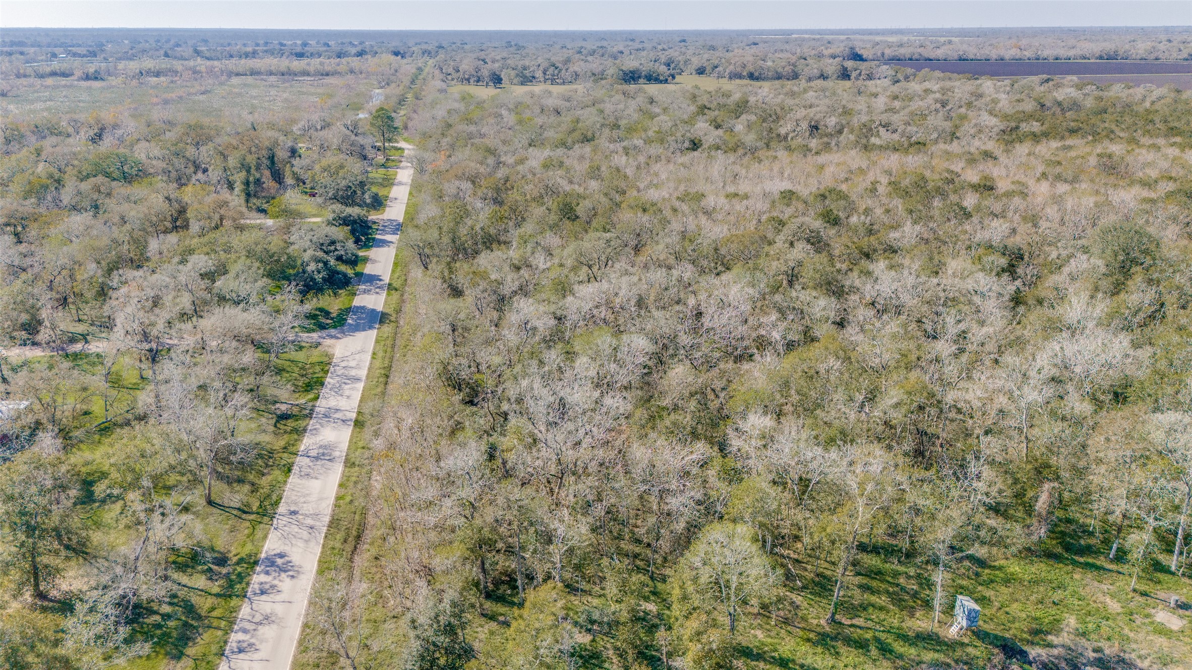 Tdb Tdb Cr-647 Guy, TX 77444 - Photo 9 of 9 a view of a dry yard and mountain view