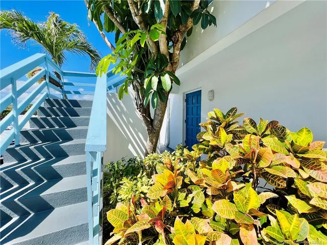 a plant plant in front of a door