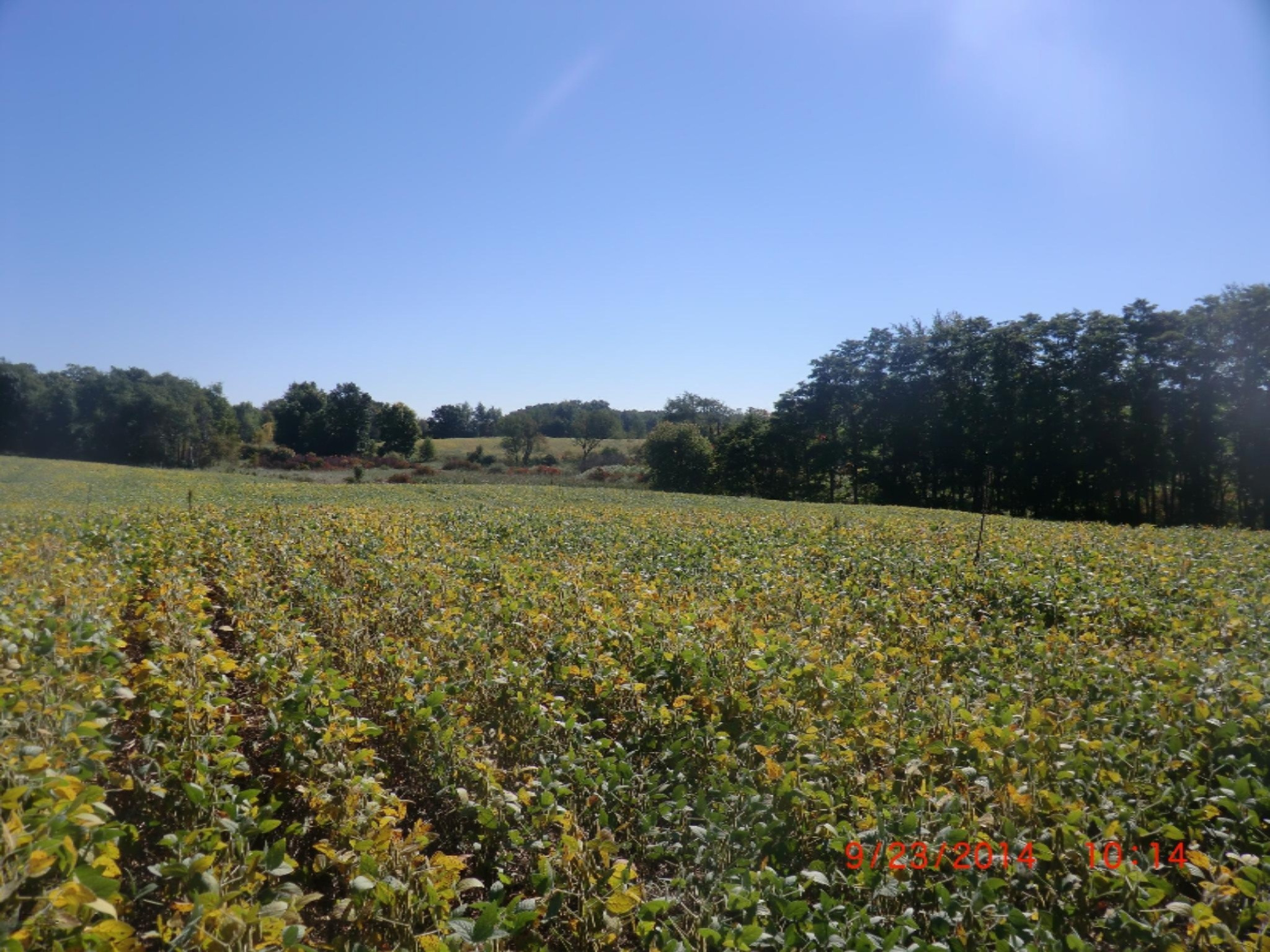 V/l Cassopolis Road Cassopolis, MI 49031 - Photo 11 of 15 CIMG9523